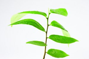 自动驾驶解决了什么问题